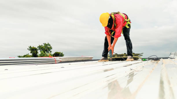 Best Solar Panel Roofing Installation  in Waikele, HI